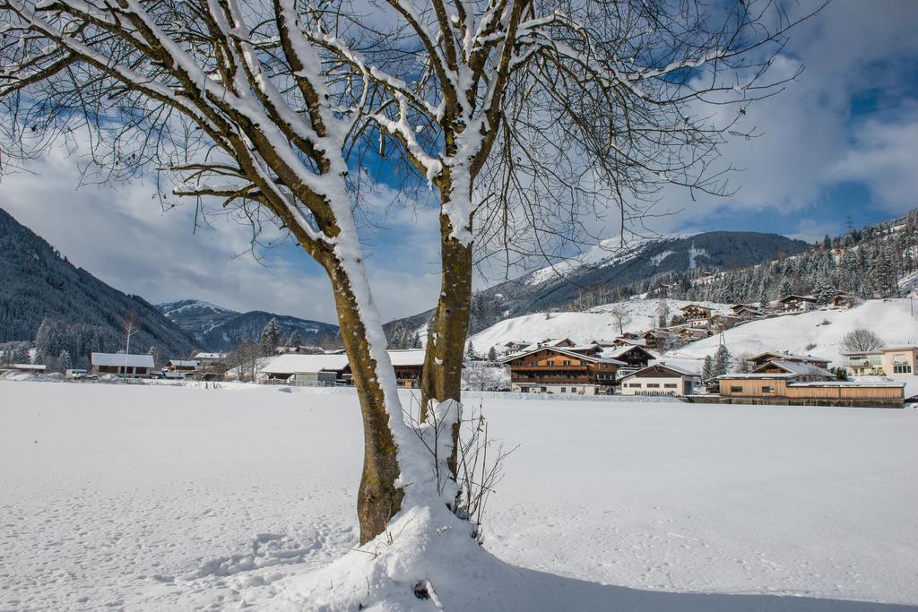 Gaestehaus Dreier Neukirchen am Großvenediger Extérieur photo